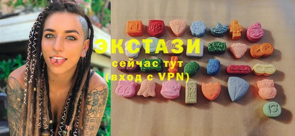 ECSTASY Богданович